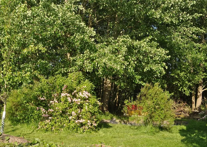 Kleiner Stern 公寓 斯托特布尔