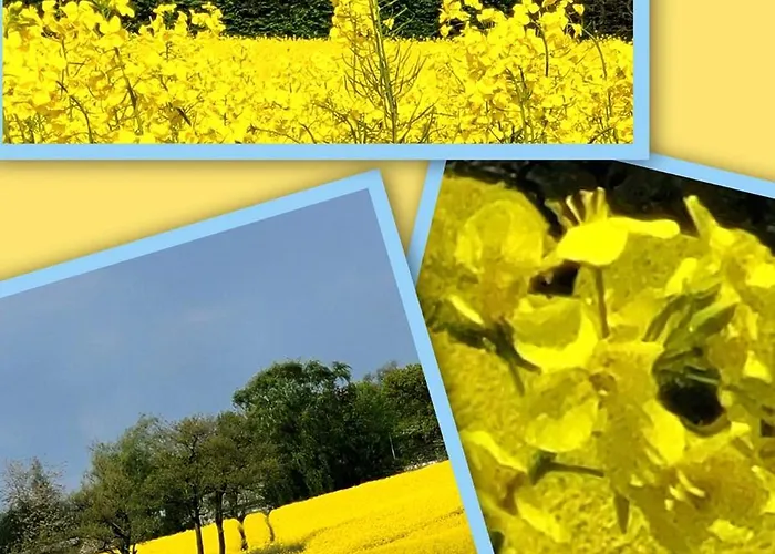 Kleiner Stern 公寓 斯托特布尔